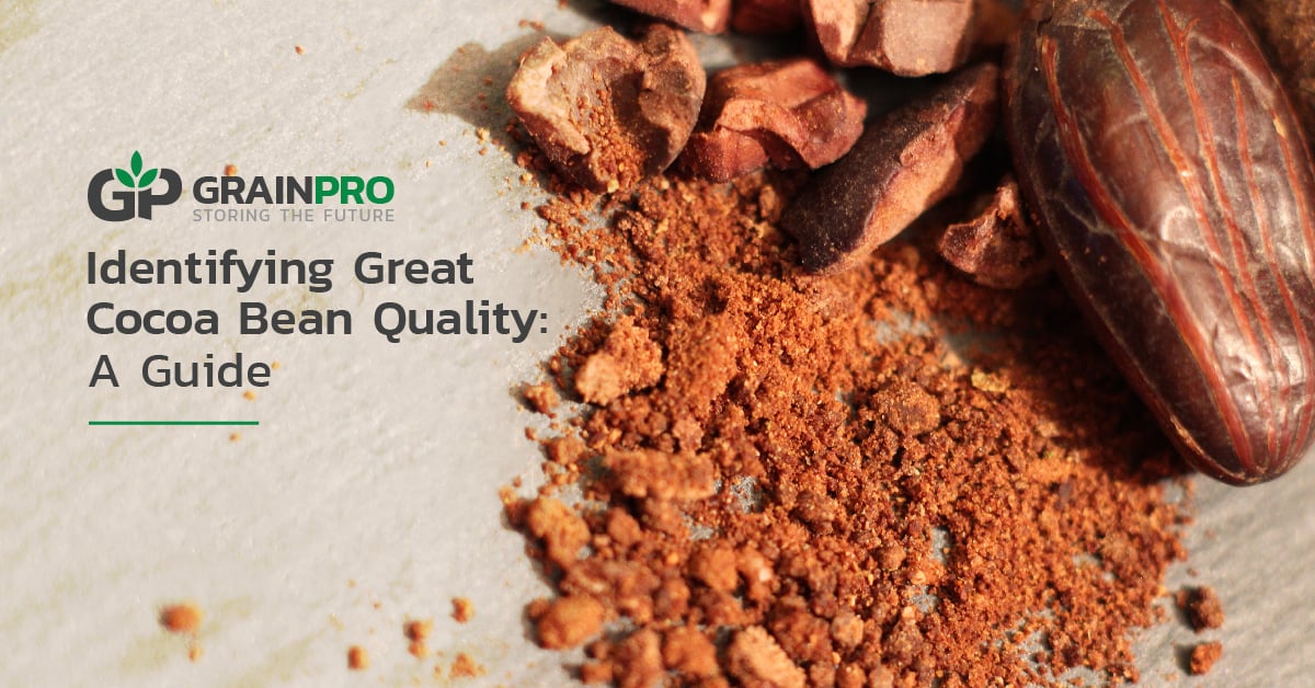 Identifying Great Quality in Cocoa Beans A Guide